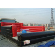 sport inflatable game